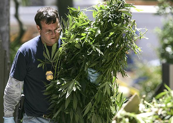 Marijuana seized